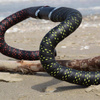 Owijka na kierownicę Bike Ribbon Drops 210 cm gr.3,0mm czarna