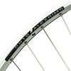 Tylne koło rowerowe Shimano Cues, Sapim, AlexRims DH19, 28", 36H, srebrne