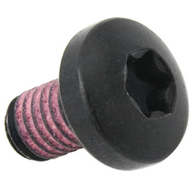 Śruba do montażu ConnectModule w silniku Bosch Performance Line CX gen. 5