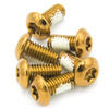 Śruby mocujące tarcze hamulcowe Dartmoor stalowe złote, 6 szt.