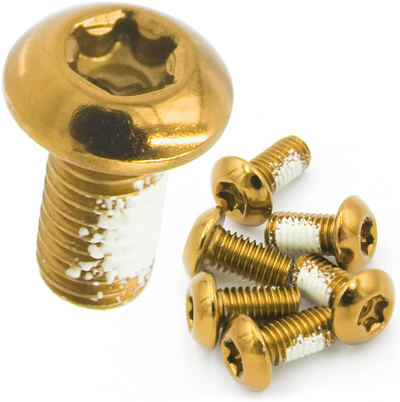 Śruby mocujące tarcze hamulcowe Dartmoor stalowe złote, 6 szt.