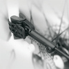 Błotniki SKS VeloFlexx 65 Cross 29" zestaw, czarny 