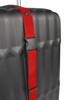 Pas do bagażu Alpino 30 mm x 150 cm czerwony